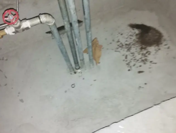 全南卫生间测漏水价格明细